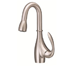 Danze D154546SS Bellefleur Single Handle Stainless Steel Bar/Convenience Sink Faucet